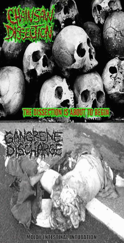 Gangrene Discharge : Chainsaw Dissection - Gangrene Discharge